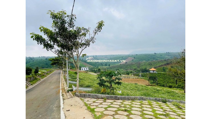 [HOT] Duy nhất còn 1 lô tại NaLi Chill - Homestay and BBQ giá bán chỉ 850TR